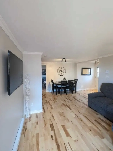 Location appartement, vacance, affaire temporaire!! Image# 1