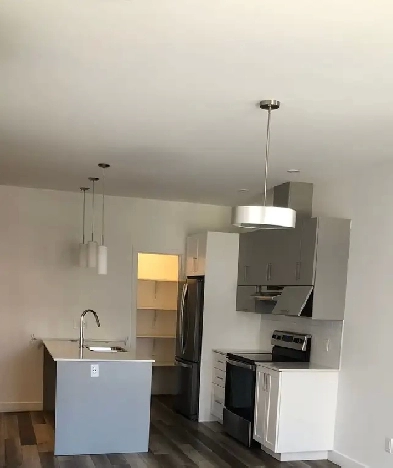 Bel appartement de 3 chambres tout inclus à Gatineau Image# 2