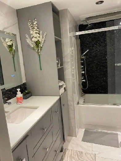 5 1/2 apartment for rent