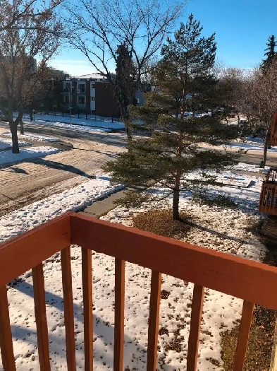 1 Bedroom w balcony near NAIT Kingsway-no smoking  no pets Image# 1