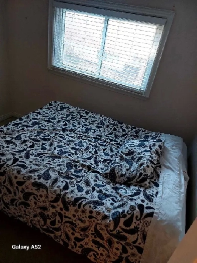 Room for rent in house/ Bayview Ave Image# 2