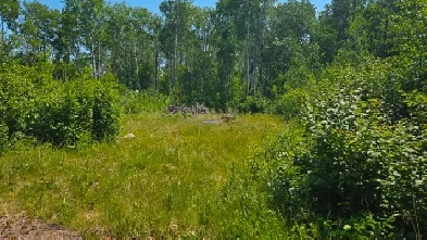 Vacant Lot 1 Mile from Grand Beach! Image# 1