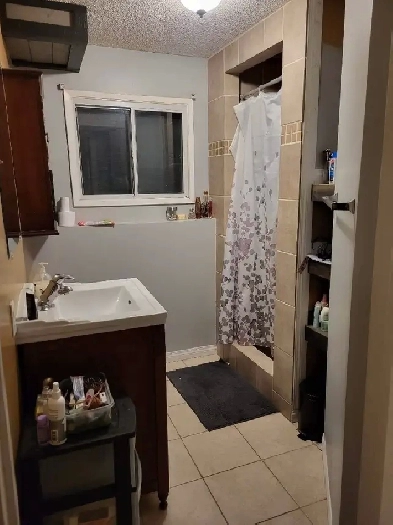 Bachelor suite rental Image# 1