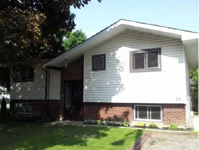 Lower level bright Apartment for rent in Lindsay, ON Image# 1
