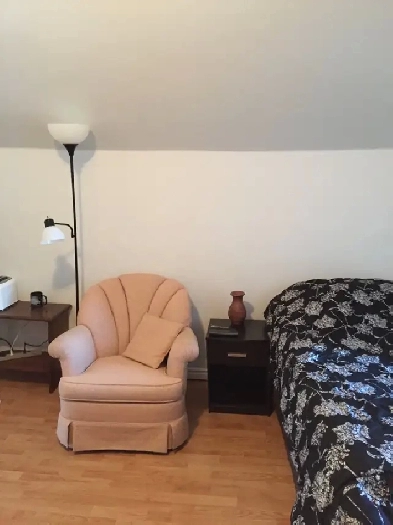 $650 Portage la Prairie Room for rent, upper loft Image# 6