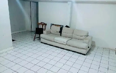 Full Basement Available in Mississauga From August Onwards Image# 1