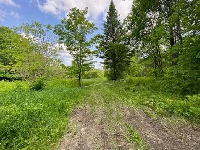 TERRITOIRE À LOUER - CHASSE 2025 Image# 5