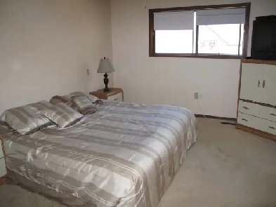 Spacious Master Bedroom for a couple 1495/mo, Avail July 1st. Image# 1
