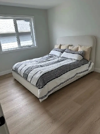 Room for Rent Image# 2