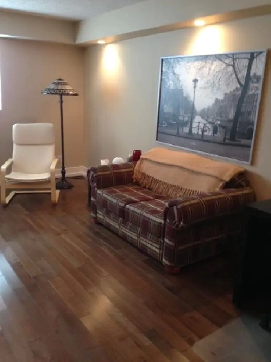 newly renovated one bedroom condo for rent in Norwood flats Image# 7