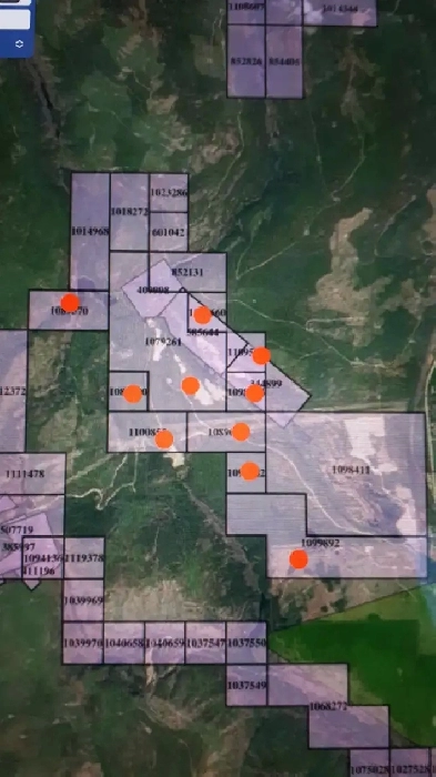 Gold claim - Palmer Bar, Cranbrooke, BC Image# 2