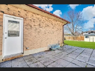 One room Basement for rent Image# 3