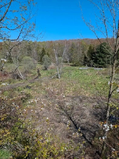 rare! Res. lot, waterfront, 1 hr to Mtl $298K  ready to build Image# 8