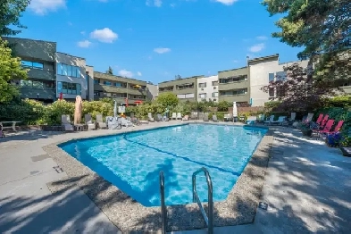 CENTRAL LOCATION WITH GREAT AMENITIES! 218 1056 Bernard Ave Image# 8