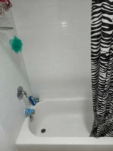 Bright & Convenient 1-Bedroom – $1395 | All Utilities In Image# 1
