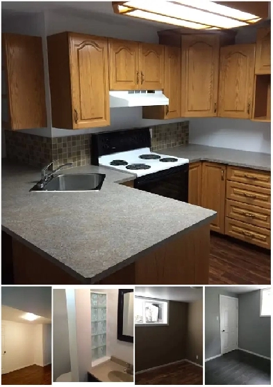Lower suite available Image# 4