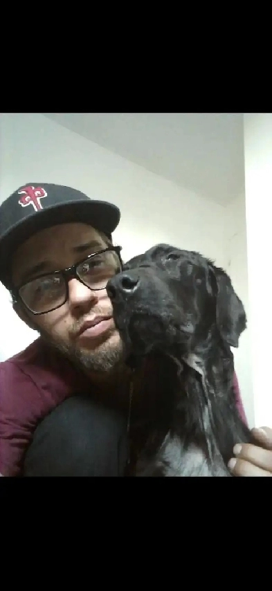 Looking for our room urgent, my service dog is dying Image# 1
