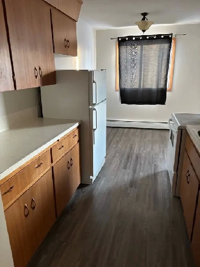 2 Bedroom 1 Bath Apartmnet for Rent Image# 5