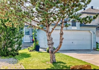 SAFE & CLEAN 2  Bdrm Bungalow Image# 1