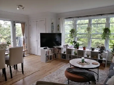 4 ½ au 2e étage, Quartier Émile Zola, Juillet gratuit Image# 1