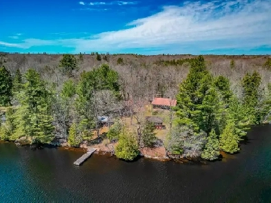 Year-Round Bungalow on Harris Lake – 3.5 Acres! Image# 9