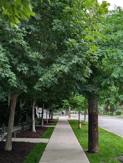 Sophisticated Urban Condo in Toronto – Must See! Image# 1