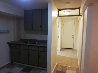 Newly Renovated 1 Bedroom Bsmt Suite 5 Min Walk to Anderson LRT Image# 5