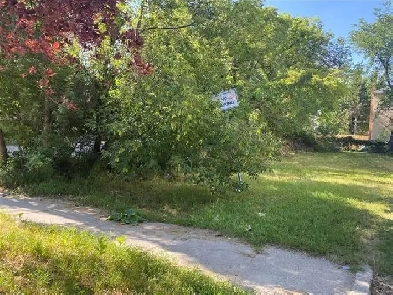 Investment Opportunity to Build Duplex or Triplex on VL! Image# 2