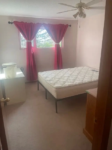 room for rent (Drumheller) Image# 1