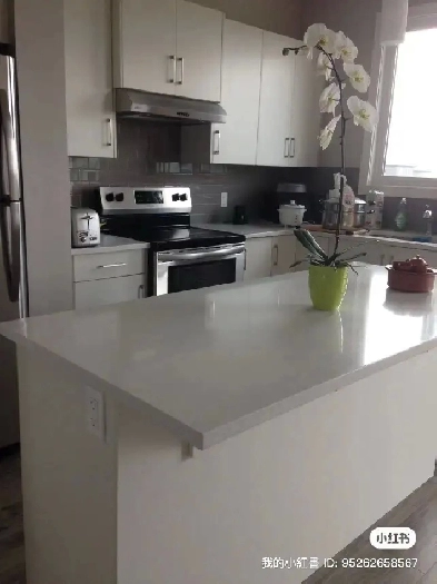 2 bedroom 2 washerroom rental Image# 1