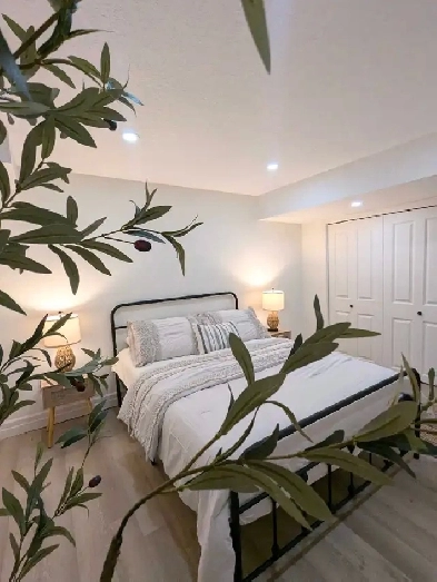 Spacious Bedroom Available in September Image# 3