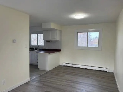 685 Gregg Ct, 1 bedroom in 4-bedroom house (1bath 1kitchen)South Image# 3