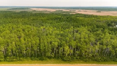 0 Road 48N, Ste Genevieve Image# 6