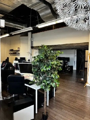 Wallace Avenue Studio Image# 2