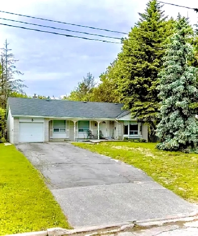 Spacious Room for Rent in Shared Basement Apartment Image# 5