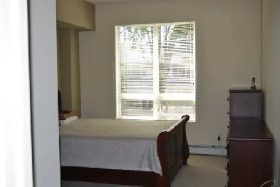 Beautiful 2 Bedroom Apartment in Holland Gardens Image# 7