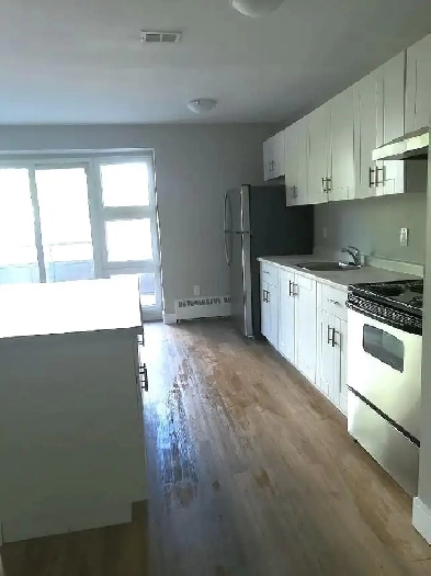 1 BEDROOM APARTMENT FOR RENT Image# 8