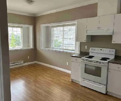 One Bedroom & One Livingroom Coach Suite for Rent Image# 4