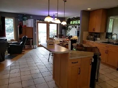 Room for Rent Image# 10