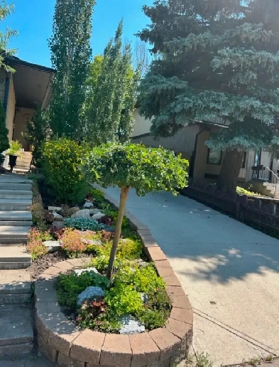Walkout 1 BR, Furnished includes Ultilities Image# 4