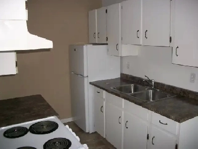 Apartment two Bedroom North Shore Image# 7