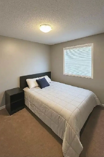 Looking for roommate/couple. 2 BEDROOMS, private bath, office Image# 10