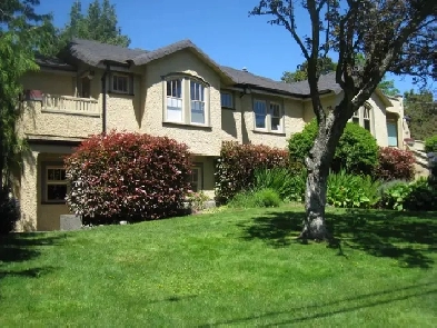 1-Bdrm Furnished Suite avail Sept 1 Image# 1