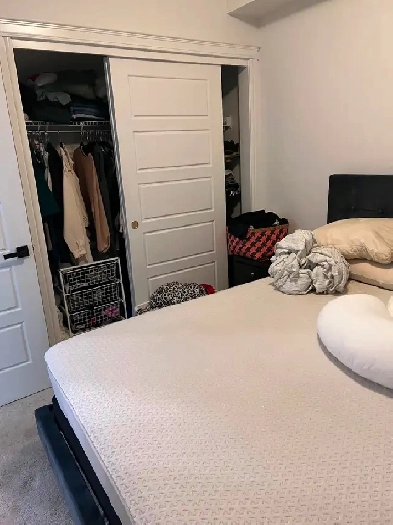 Cozy 1 bedroom   den and 1 bathroom apartment in Seton Image# 7