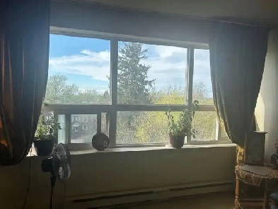 Quiet with a View - August 2 Bedroom - $2,000 Image# 5
