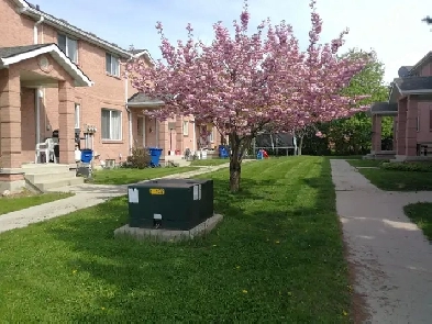 2 1 beds 1.5 baths all brick townhouse for rent Image# 1