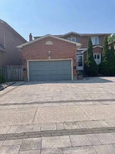 1Bed 1Bath Basement Apartment For Rent In Richmond Hill Image# 4