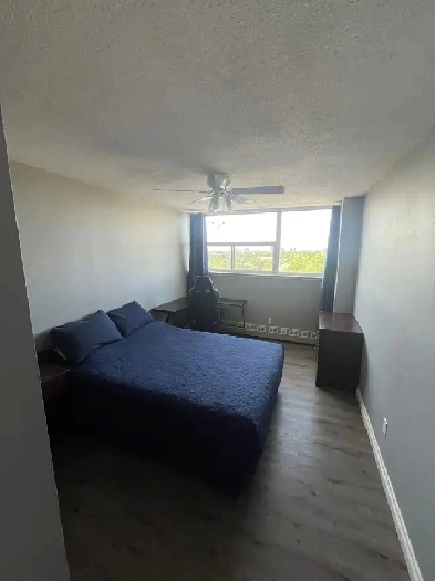 Shared Accommodation for rent for mature student or working prof Image# 7