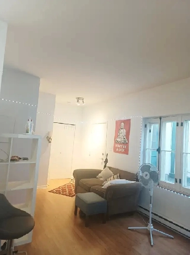 APPARTEMENT SPACIEUX & TRÈS CALME Image# 5