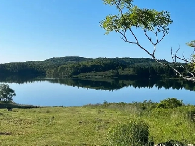 Affordable Waterfront with room to build value Image# 10